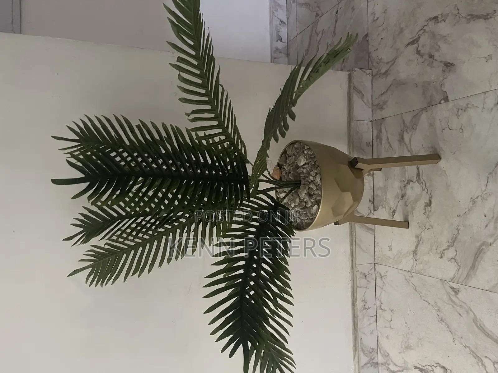 Gold Planter and Plant