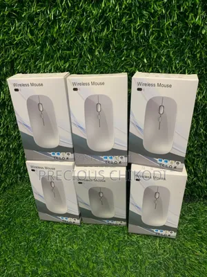 Wireless and Bluetooth Mouse With RGB Light