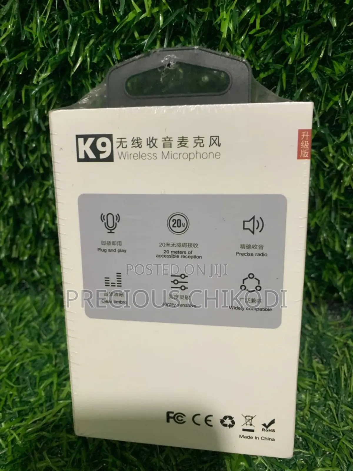 Double Wireless Microphone