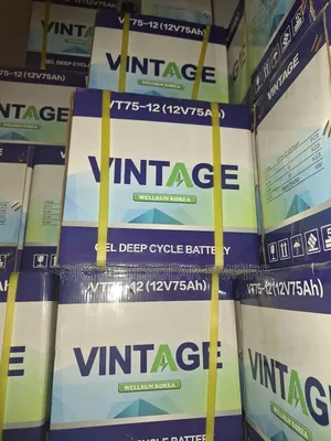 Vintage 12v 75ah Gel Batteries