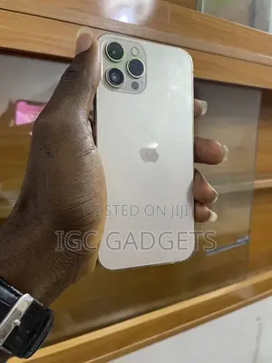Apple iPhone 12 Pro Max 256 GB Gold