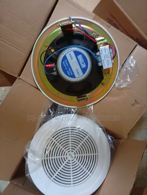 Ceiling Speakers (Ahuja)