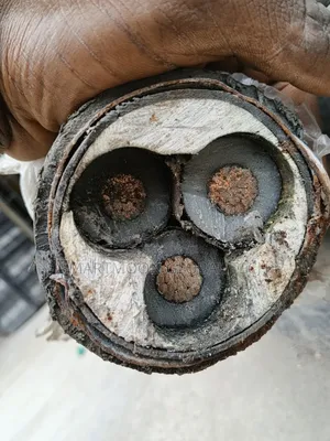 Armored Cable