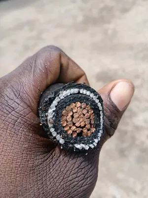 Armored Cable