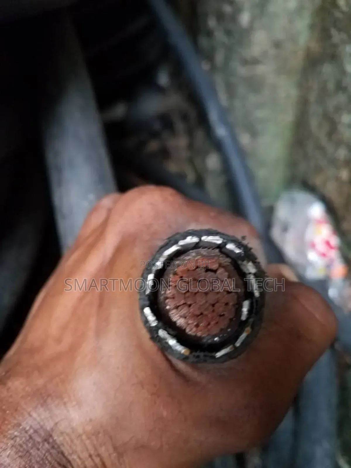 Armored Cable
