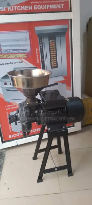 Wet and Dry Grinder