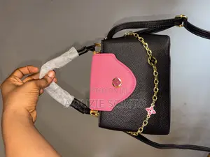 Lady Handbag