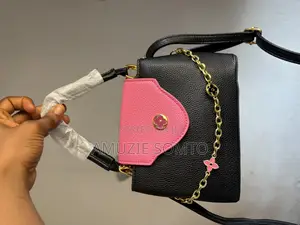 Lady Handbag