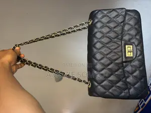 Lady Handbag