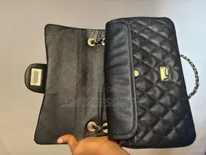 Lady Handbag