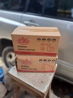 Two Lion Servo Motor