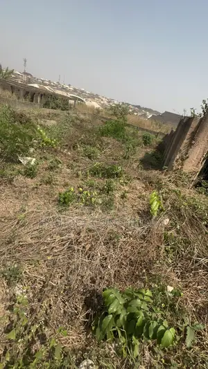 Landed Property