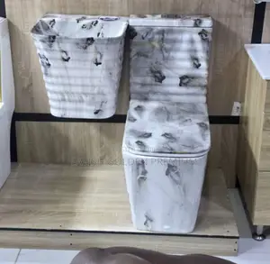 Luxury Water Closet Set With Suspended Wash Hand Basin