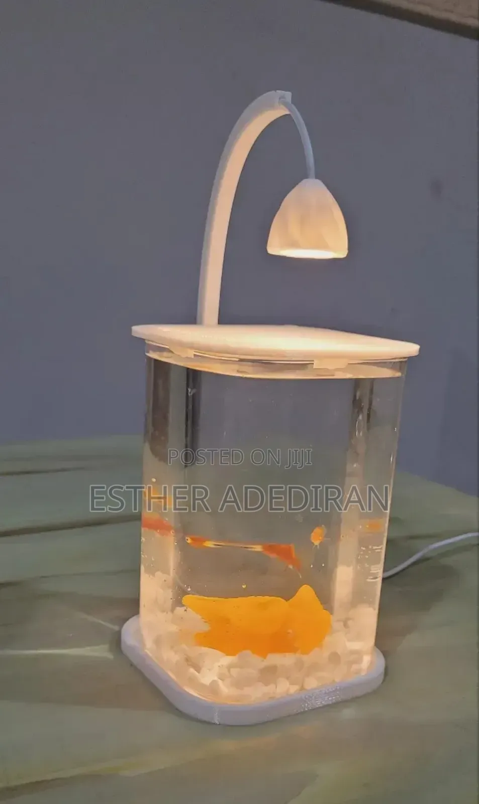 Mini Aquarium With Light