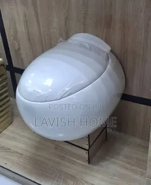 Egg Shape Super Executive Concealed Toilet Conduit Wc
