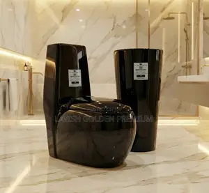 Executive Modern Black Water Closet Set With Standing Wash Hand Basin