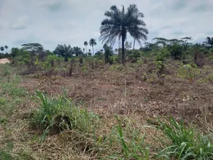 Land Sales