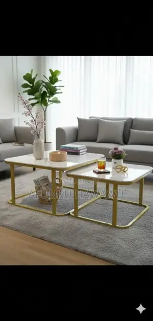Real Marble Square Twin Center Table 70cm × 60c