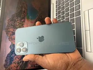 Apple iPhone 12 Pro Max 256 GB Blue