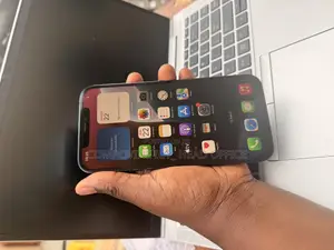 Apple iPhone 12 Pro Max 256 GB Blue