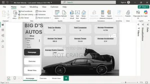 Excel Data Analyst – Data Cleaning, Reports Insights