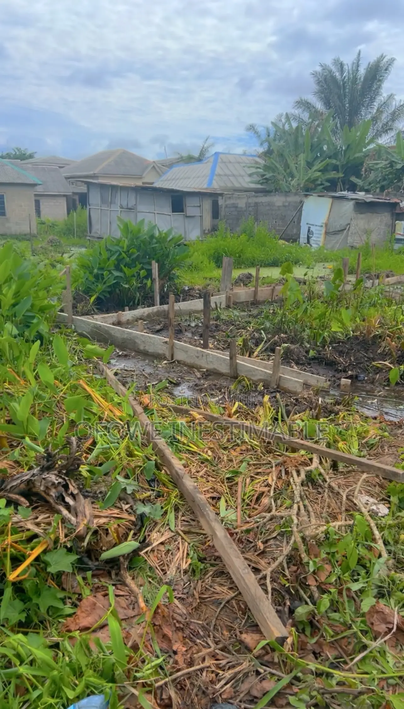 Picture of Official Record Search - Quick Search - Midland County, Texas County Clerk