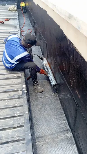 Ideopathy Roof Waterproofing Expert
