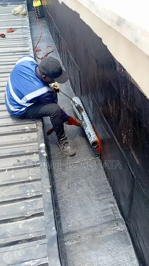 Ideopathy Roof Waterproofing Expert