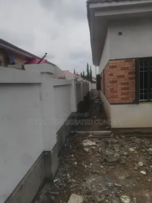 Professional House Screeding
