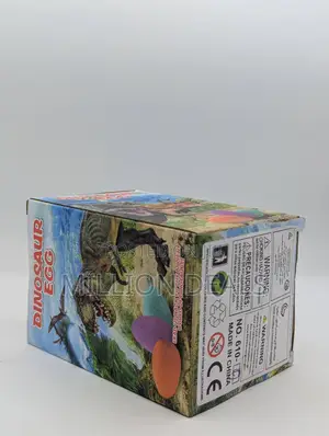 Dinosaur Egg Kids Toy Ages 3+