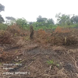 Land Facing the Road in Odo Town of Agbowa for Sale