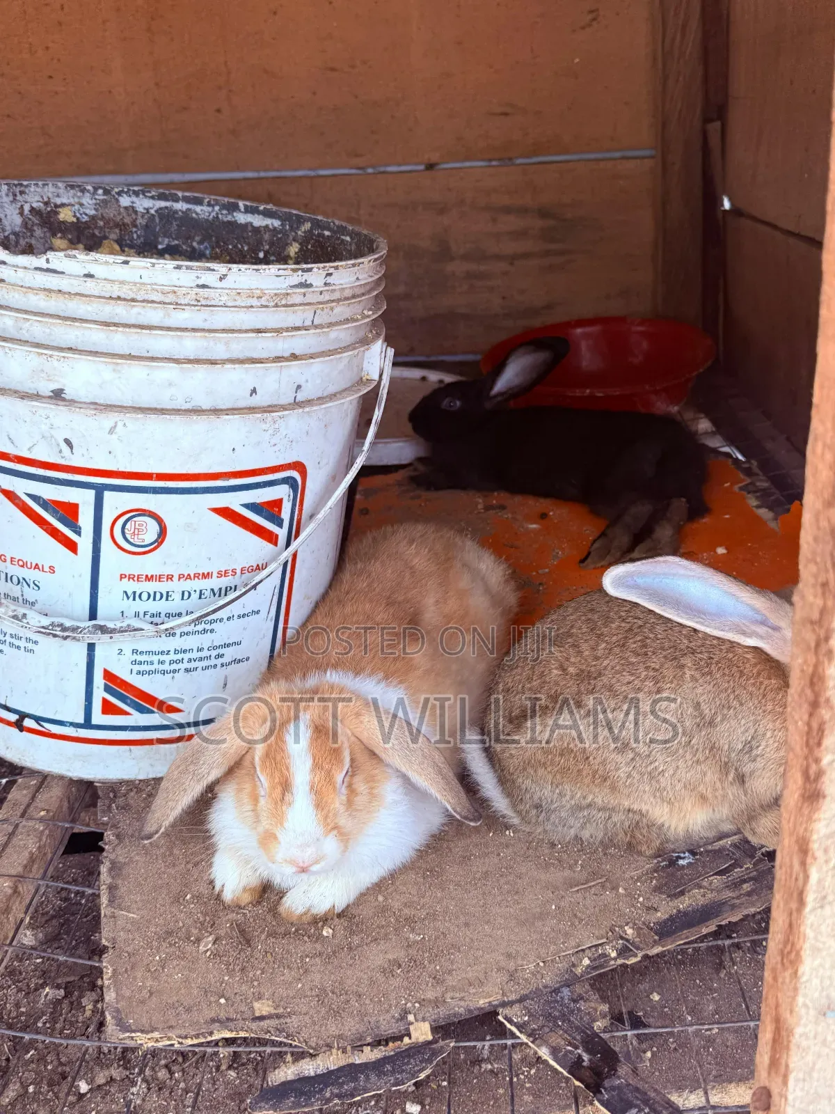 Mix Bread Weaners