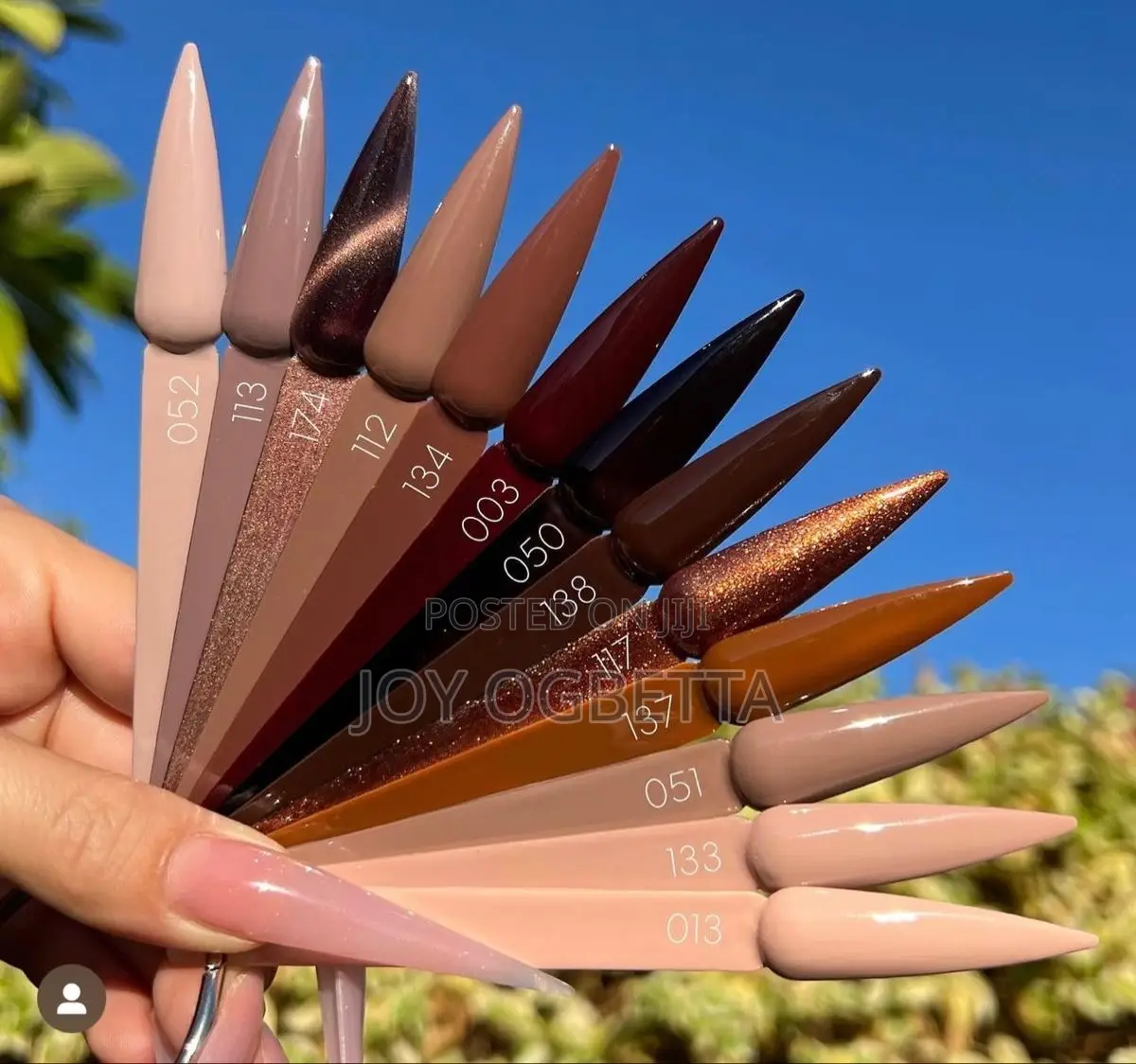 Nail Kit for Beginners and Professionals