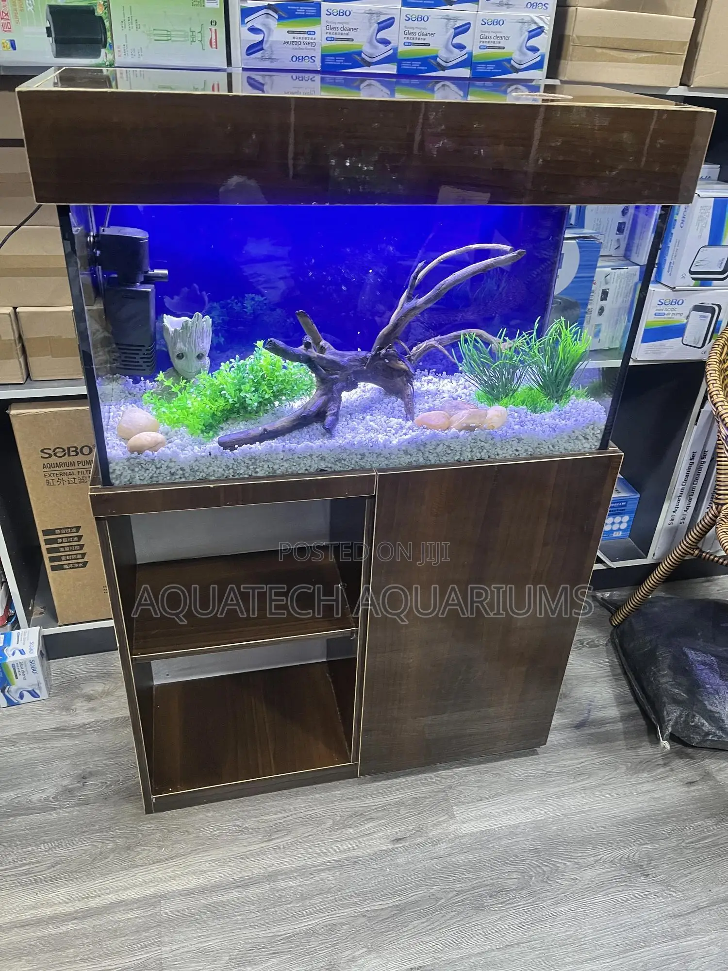 Ready Made Aquarium