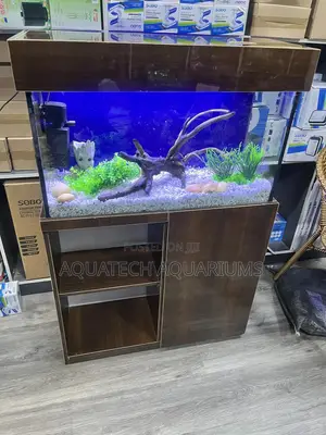Ready Made Aquarium
