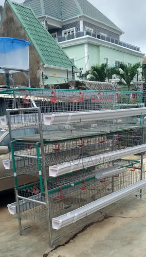 H Type Design Battery Cage for Layers