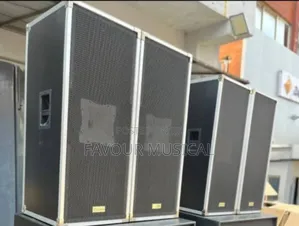 Professional Sound Speaker