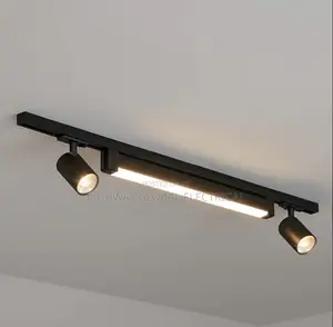Flood + Track Magnetic Content Lighting