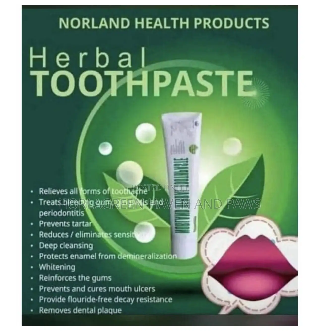 Norland Herbal Toothpaste