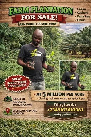 Own a Plantation Farm in Ogun State, Nigeria