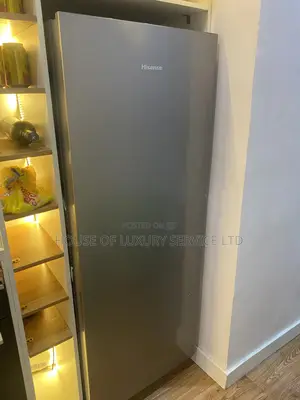 Clean Standing Freezer