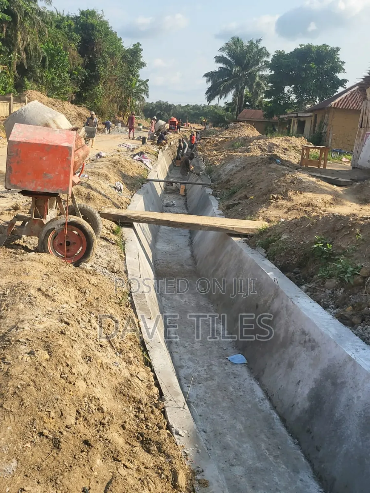 Trapedsodia Drainage