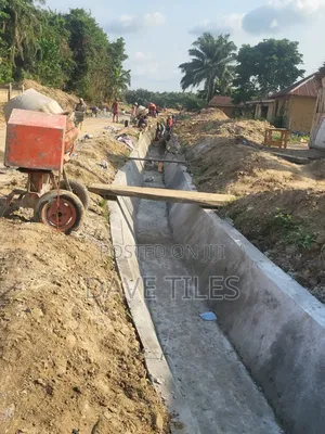 Trapedsodia Drainage