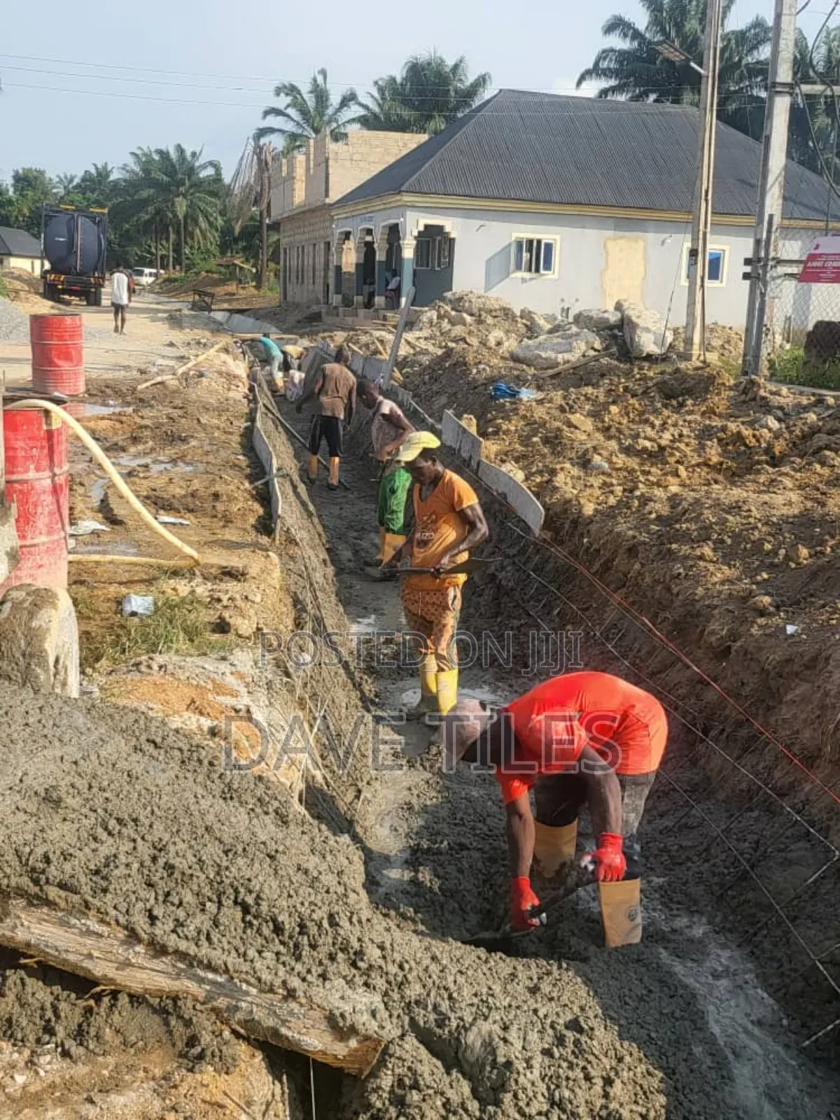 Trapedsodia Drainage