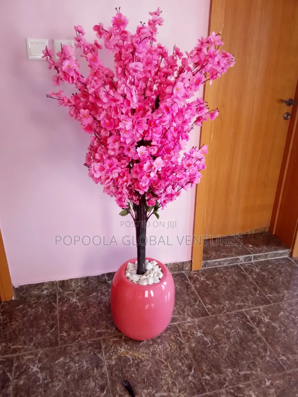 Flower Pots