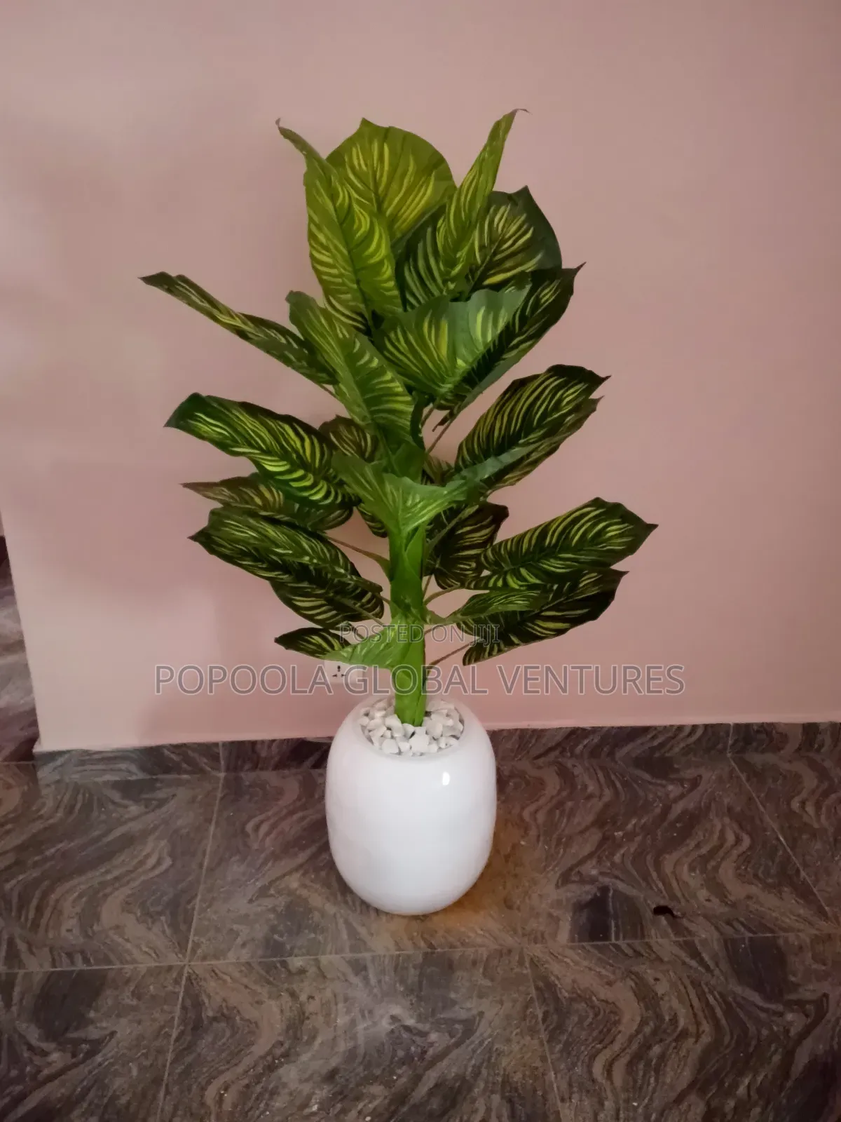 Flower Pots