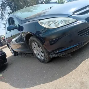 Peugeot 307 1.4 90 Grand Filou Cool 2007 Blue