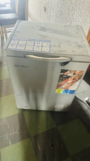 Skyrim Chest Freezer Bd 100 HNW