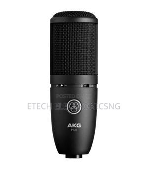 Akg P120 High-Performance General Purpose Recording Microphone