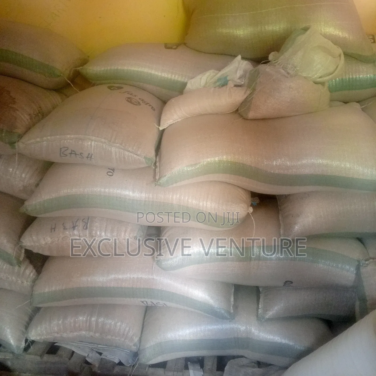 Wheat Grains
